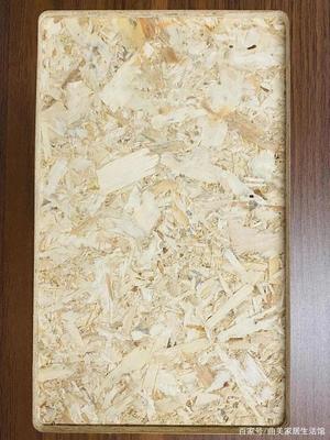 專家解讀，大咖坐鎮！曲美家居首發零甲醛添加原木結構板，加拿大OSB板革新家居環保標準